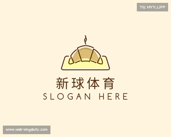 关于新球体育